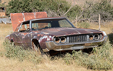 Thunderbird | - | Ford | HACKBERRY, AZ 26.09.2015