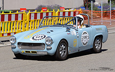 Midget | ZH 246559 | Speedwell | D&AUML;LLIKON 28.06.2015