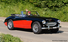 3000 | ZH 104090 | Austin-Healey | OTELFINGEN 27.06.2015