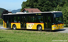 Citaro | AG 428664 | Mercedes-Benz | B&OUML;ZBERG 13.08.2016