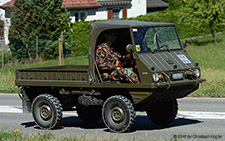 700AP Haflinger | ZH 383298 | Steyr Puch | B&OUML;ZBERG 13.08.2016