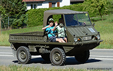 700AP Haflinger | AG 1612 | Steyr Puch | B&OUML;ZBERG 13.08.2016