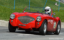 100-4 BN1 | - | Austin-Healey  |  Built 1954 | LITZIR&UUML;TI 02.09.2016