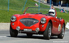 100-4 BN2 | TI 33754 | Austin-Healey  |  Built 1956 | LITZIR&UUML;TI 02.09.2016
