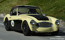 100-6 BN4 | - | Austin-Healey  |  Built 1958 | LITZIR&UUML;TI 02.09.2016