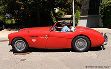 100 | ZH 89819 | Austin-Healey | BOPPELSEN 02.06.2019