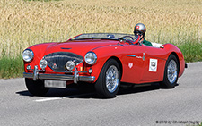 100 | ZH 89819 | Austin-Healey | BOPPELSEN 29.06.2019