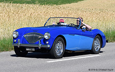 100 | ZH 30445U | Austin-Healey | BOPPELSEN 29.06.2019
