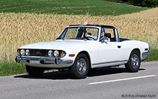 Stag | ZH 256019 | Triumph | BOPPELSEN 29.06.2019