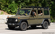 G 300 CDI Work | M+67550 | Mercedes-Benz | LUFINGEN 11.08.2019