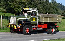 D 330B | BE 3783U | Saurer  |  Beyeler, Lohn | SURSEE 31.08.2019