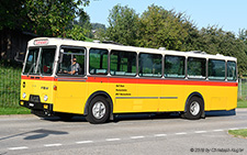  | AG 8141 | FBW  |  Rolf Stutz Oberlunkhofen | SURSEE 31.08.2019