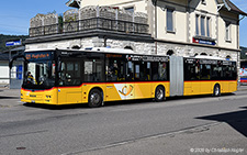 Lion's City A23 | ZH 874765 | MAN | EMBRACH 10.09.2020