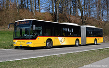 Citaro | ZH 780687 | Mercedes-Benz | LUFINGEN 24.03.2020