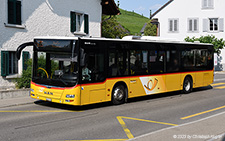 Lion's City | ZH 211461 | MAN | DORF 17.06.2023