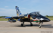 Aeritalia AMX | MM7115 | Italian Air Force  |  Special scheme to celebrate 20'000 flying hours with AMX | SAINT-DIZIER ROBINSON (LFSI/---) 23.05.2003