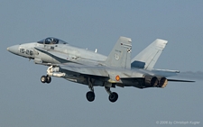 McDonnell Douglas F/A-18A Hornet | C.15-39 | Spanish Air Force | LECHFELD (ETSL/---) 11.05.2006