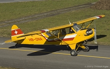Piper L-4J Grasshopper | HB-ONA | private | BUOCHS (LSZC/BXO) 08.02.2008