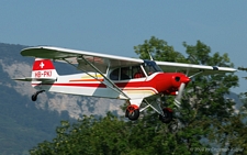 Piper PA-18-150 Super Cub | HB-PKI | private | KESTENHOLZ (----/---) 23.08.2009