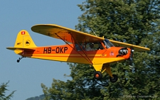 Piper J-3 Cub | HB-OKP | private | KESTENHOLZ (----/---) 23.08.2009