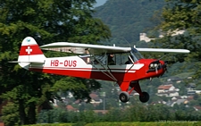 Piper L-4J Grasshopper | HB-OUS | private | KESTENHOLZ (----/---) 23.08.2009