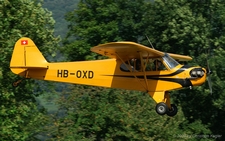 Piper J-3 Cub | HB-OXD | private | KESTENHOLZ (----/---) 23.08.2009