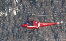 Engstrom F-28C | HB-XES | private | SAMEDAN (LSZS/SMV) 03.01.2009