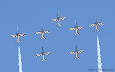 Aermacchi MB.339NAT | - | United Arab Emirates Air Force | PAYERNE (LSMP/---) 05.09.2014