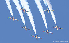 Aermacchi MB.339NAT | - | United Arab Emirates Air Force | PAYERNE (LSMP/---) 05.09.2014