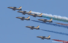 Aermacchi MB.339NAT | - | United Arab Emirates Air Force | PAYERNE (LSMP/---) 06.09.2014