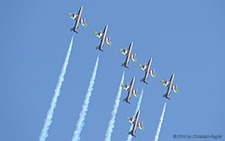 Aermacchi MB.339NAT | - | United Arab Emirates Air Force | PAYERNE (LSMP/---) 06.09.2014
