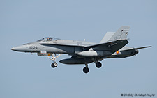 McDonnell Douglas EF-18M Hornet | C.15-41 | Spanish Air Force | LEEUWARDEN (EHLW/LWR) 19.04.2018