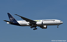 Boeing 777-F | D-ALFI | Lufthansa Cargo  |  Cargo Human Care sticker | FRANKFURT (EDDF/FRA) 08.09.2021
