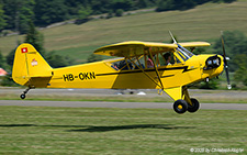 Piper L-4H Grasshopper | HB-OKN | private (Lausanne Aeroclub)  |  This Piper L-4H Grasshopper of the Lausanne Aeroclub is about to land on the grass runway at Birrfeld. | LSZF 28.06.2025