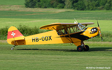 Piper L-4J Grasshopper | HB-ODX | private  |  This Piper J3 is normally based at nearby Triengen and therefore only had a very short flight. | LSZO 14.06.2025