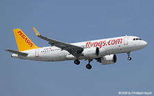 Airbus A320-251n | TC-NBD | Pegasus Airlines  |  Pegasus Airlines is operating no less than 50 Airbus A320neo, TC-NBD being one of them. It is seen here arriving from Ercan as flight PC 1872. | ANTALYA (LTAI/AYT) 11.05.2025